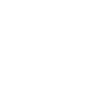 HomeBoss Logo